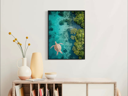 Canvas Prints, Art Space, Turtle, Mangroves, Poster Prints