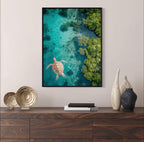 Canvas Prints, Art Space, Turtle, Mangroves, Poster Prints